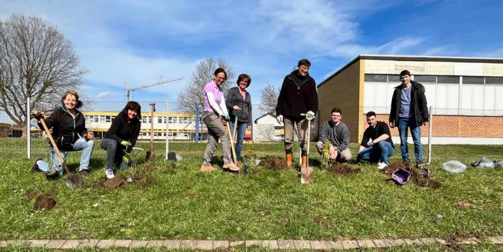 Arbeitsgruppe Baumpflanzung Tc Gambach
